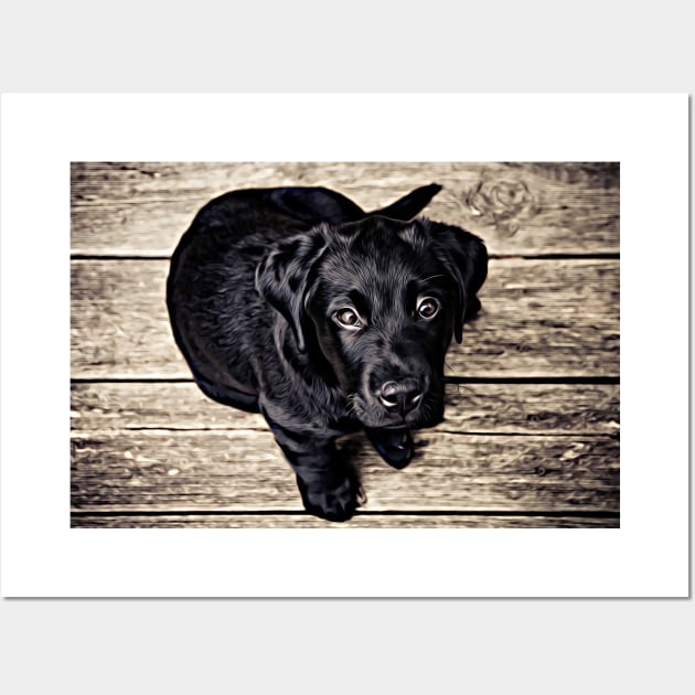 Wow! What A Beautiful Black Puppy Dog Wall Art by cameradog